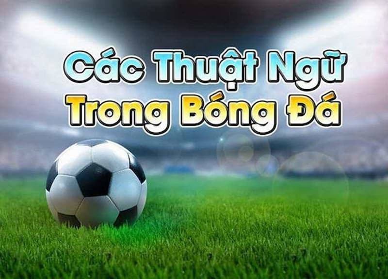 thuat-ngu-ca-do-bong-da-1
