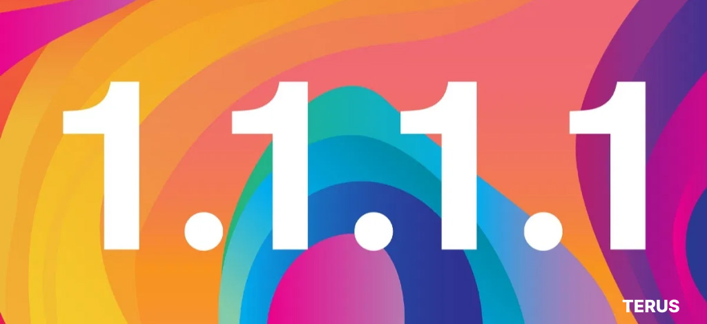 Cách cài đặt 1.1.1.1